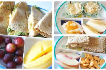 Lunch Ideas For Toddler & Baby!