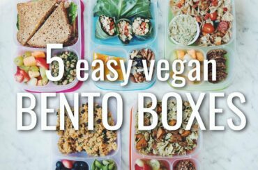 5 easy vegan back to school bento boxes (lunch ideas) | hot for food