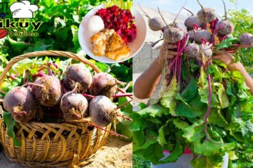 LA MEJOR RECETA DE BETARRAGA  Y FÁCIL / HEALTHY SALADS / RECIPES CREAM PACK