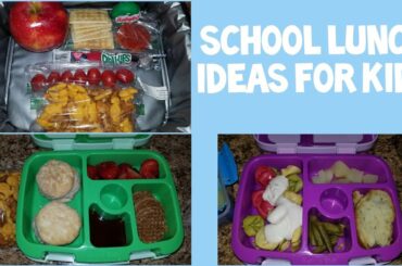 School Lunch Ideas For Moms On The Go