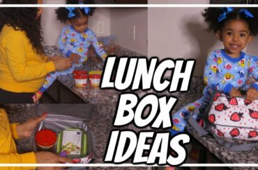 LUNCH BOX IDEAS FOR TODDLERS! | MOMCOZY LUNCHBOX