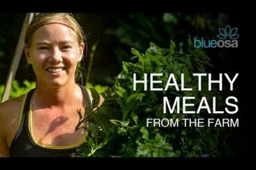 Healthy Meals From the Farm || Organic Vegan Recipes