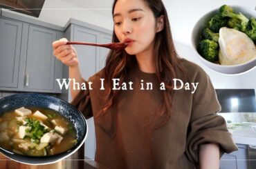 What I Eat in a Day 🇰🇷Easy Korean Recipes