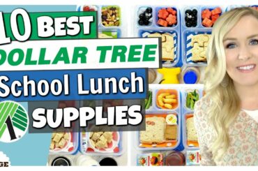 Top 10 BEST SCHOOL LUNCH Supplies from Dollar Tree! CUTE Lunches on a Budget