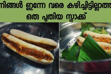 നിങ്ങൾ ഇതുവരെ കഴിച്ചിട്ടില്ലാത്ത ഒരു പുതു വിഭവം || Easy Banana Snack For Evening/Teatime