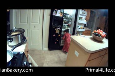 Primal Sandwich For Kids On Paleo Bread