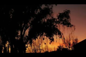 V# 97 Winter dinner ideas || kabuli pulao recipe || lahori fish|| Malai tikka steamed||