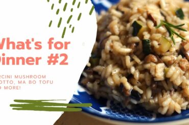 WHAT'S FOR DINNER? | 5 EASY WEEKNIGHT RECIPES