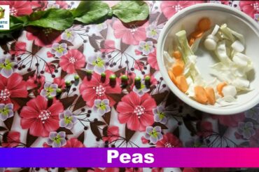 Interesting Green Salad in Just 5 Minutes | Tasty and Healthy | Salad Stop Motion Movie