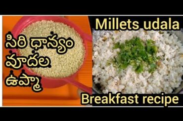 సిరి ధాన్యం వూదల ఉప్మా//millet udala upma breakfast recipe healthy food ఆరోగ్యం చిరుధాన్యాలు