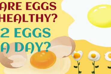 What happen If You EAT 2 EGGS a Day ? #egg