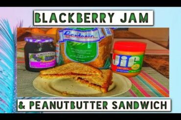 How to make a healthy snack + BlackBerry and peanut butter sandwich + snack for my husband