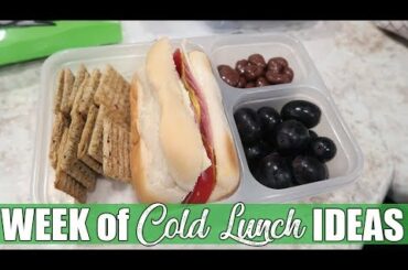 Budget Friendly Cold Lunch Ideas | Week of Husband Lunches | December 2019