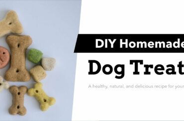 DIY Homemade Dog Treat Recipe | Healthy Dog Treat Recipes DIY | 3 Ingredients