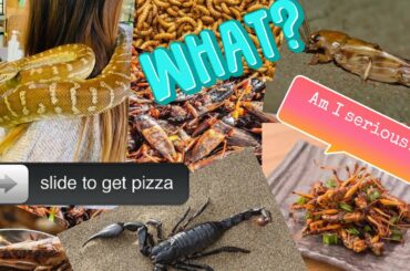 Beautiful restaurant / JAPAN, lunch idea