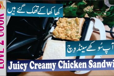 How To Make Chicken Sandwich In Sandwich Maker In Urdu Hindi