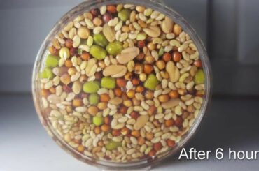 DIY How to grow spicy SPROATS / Healthy food  produced at home