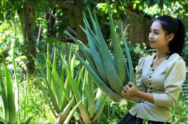 Cooking Aloe Vera Plant in my homeland - Polin Lifestyle