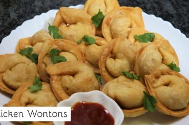 Chicken Fried Wontons | Snacks Recipe | Recipes With Me