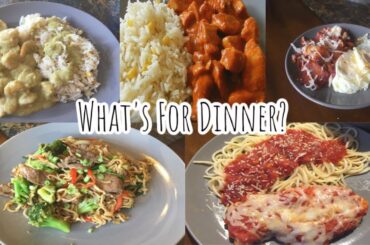 Meals of the Week | Easy Dinner Ideas