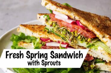 Fresh Spring Sandwich with Sprouts