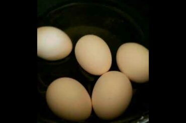 Meal Prep-10 Zesty Salad