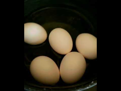 Meal Prep-10 Zesty Salad Meal Prep-10 Zesty Salad