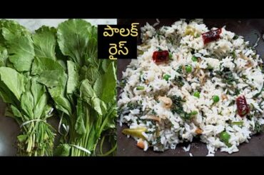 PALAK RICE|QUICK LUNCH BOX PALAK RICE RECIPE|QUICK LUNCH BOX RICE RECIPES|LUNCH BOX IDEAS|పాలక్ రైస్
