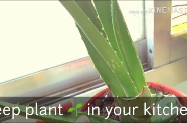 Healthy salad# بہت مزيدار سلاد #