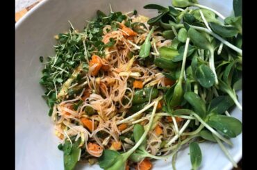 Asian Noodle Salad | Plant-Based Salad Recipe | Vaidyaji Priyanka