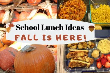 SCHOOL LUNCH IDEAS - WEEK OF SCHOOL LUNCHES - Pakistani Mom