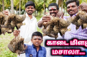 காடை மிளகு வறுவல் | Quail Recipe | Quail Pepper Roast Cooking In Village | Healthy Food