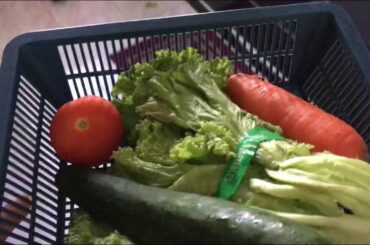 Egg Wanpaku Sandwiches Super Easy and Healthy