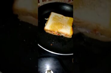 Classic Mayo Veg and Delicious Shami Egg Sandwich Recipes | Easy Sandwich recipes