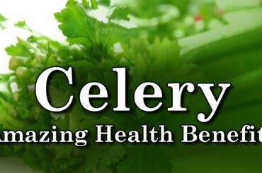 Celery Health Benefits - Amazing Health Benefits of Celery - Celery Nutrition Benefits for you