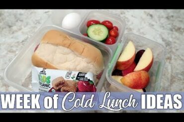 Our Last Week of Cold Lunch Ideas for 2019!