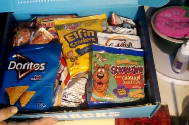 Variety Fun Snack Box