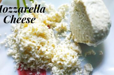 How to make Mozzarella Cheese Without Rennet | Homemade 2 Ingredient Mozzarella Cheese recipe