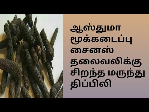 ஆஸ்துமா மூக்கடைப்பு சைனஸ் தலைவலிக்கு சிறந்த மருந்து திப்பிலி#lstamil ஆஸ்துமா மூக்கடைப்பு சைனஸ் தலைவலிக்கு சிறந்த மருந்து திப்பிலி#lstamil