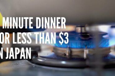 A Quick Dinner in Japan for Late Nights