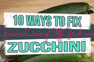 10 Ways to Fix Zucchini Squash - Healthy Meal Ideas