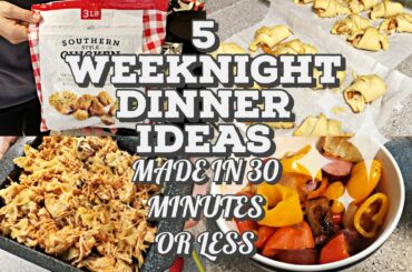 5 WEEKNIGHT DINNERS IN 30 MINUTES OR LESS! WEIGHT WATCHERS + LOW CALORIE MEALS FOR WEIGHT LOSS