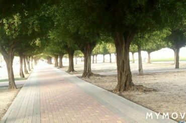 #Artsandwich Beautiful Cornish beach Saudi Arabiaالكورنيش