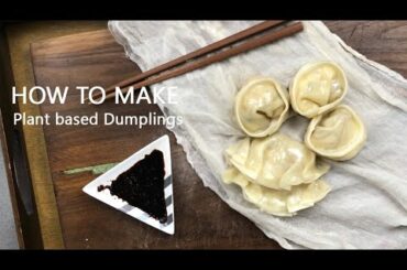 Plant based dumpling. Vegan Recipes. Plant Based Recipes. Easy cook. Delicious Tasty Healthy Asian