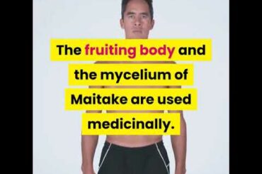 the benefits of mushrooms for your health