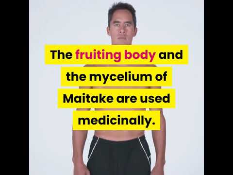 the benefits of mushrooms for your health the benefits of mushrooms for your health