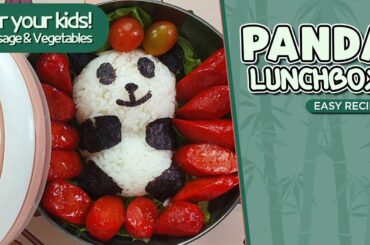 How to Make Quick and Easy PANDA BEAR Lunch Box Bento Idea for Kid's