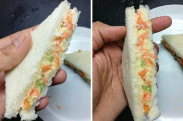 Tasty Veg Sandwich Recipes | Veg Sandwich | Easy & Quick Veg Sandwich Recipe