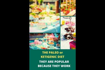 the paleo or ketogenic diet