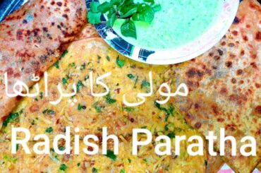 Mooli Ka Paratha Recipe | Redish Paratha Recipe | Healthy And Tasty Recipe | By Salman  Food Info